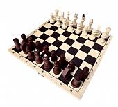 Шахматы обиходные парафинированные с доской 290*145*38 (Арт. Р-4)