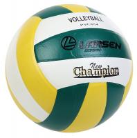 Мяч волейбольный Larsen PVC054