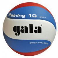 Волейбольный мяч Gala TRANING BV5561S