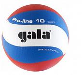 Мяч волейбольный GALA Pro-Line 10 BV5581S, р. 5,синт.кожа ПУ