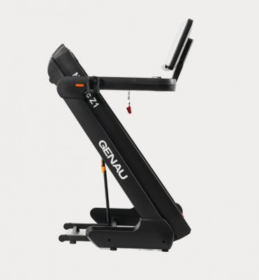 Беговая дорожка GENAU Nordic Z1