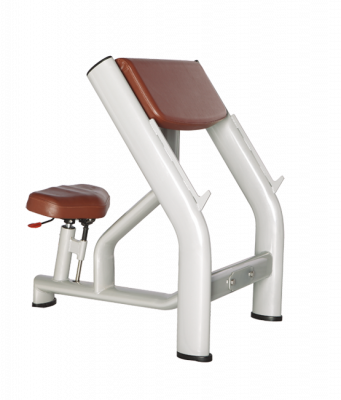 Скамья Скотта BRONZE GYM H-040A