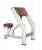 Скамья Скотта BRONZE GYM H-040A
