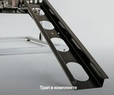 Мотохвост "Стандарт"