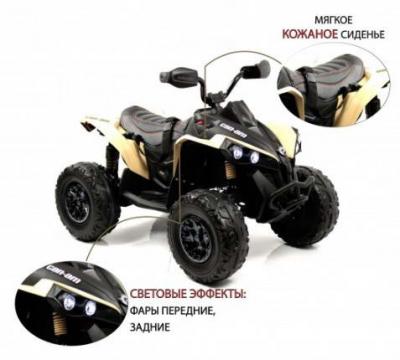 Детский электроквадроцикл BRP Can-Am Renegade (Y333YY)