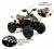 Детский электроквадроцикл BRP Can-Am Renegade (Y333YY)