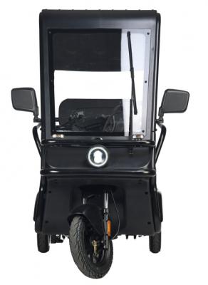 Электротрицикл Wanshida NIPLA 570 60V 1000Вт
