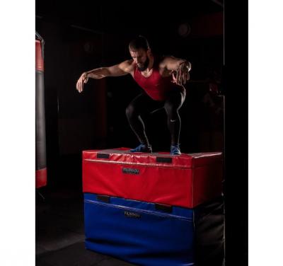 Плиобокс FILIPPOV (Plyo box)