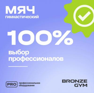 Мяч гимнастический GYM BALL ANTI-BURST, 65 см
