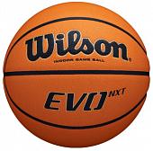 Мяч баскетбольный WILSON Evo Nxt, микрофибра