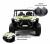 Детский электромобиль P333PP (Buggy)