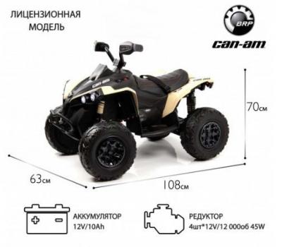 Детский электроквадроцикл BRP Can-Am Renegade (Y333YY)