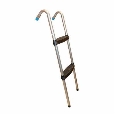 Лестница для батута DFC 10 футов 2ST-10FT-L