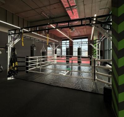 Ринг боксерский в раме Gym in one BR4