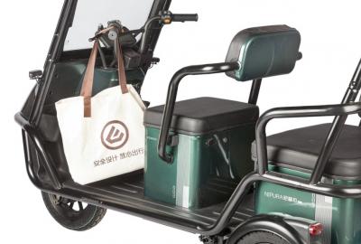 Электротрицикл Wanshida NIPLA 500 60V 1000Вт