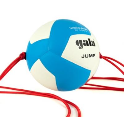 Мяч волейбольный GALA Jump 12, на растяжках, размер 5