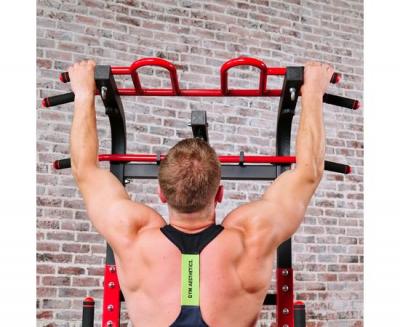Турник-брусья, тяга сверху DFC HOMEGYM HOMCOM