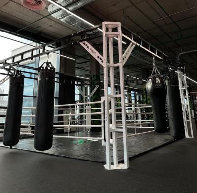 Ринг боксерский в раме Gym in one BR4