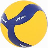 Мяч волейбольный Larsen MV300