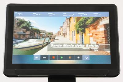 Беговая дорожка Genau Crown G530 TFT