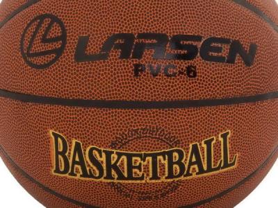 Мяч баскетбольный Larsen PVC6