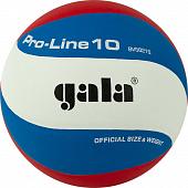 Мяч волейбольный GALA Pro-Line 10, BV5821SA, р. 5,синт.кожа ПУ Microfiber