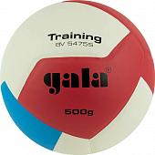 Мяч волейбольный  GALA  Training Heavy 12, BV5475S, р.5, вес 500 г, синт.кожа. ПУ, клееный