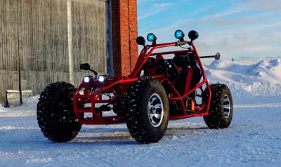 Кросс карт RISE STAR DUAL (2-х местный детский)