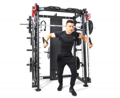 Мультистанция, машина Смита DFC Gorilla Sport 100822