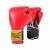 Перчатки тренировочные Everlast 1910 Classic