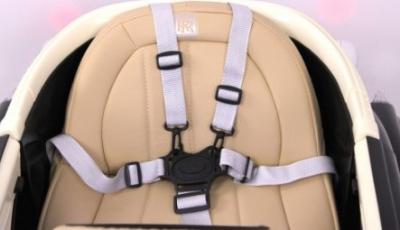 Детский электромобиль Rolls-Royce (E444EE)