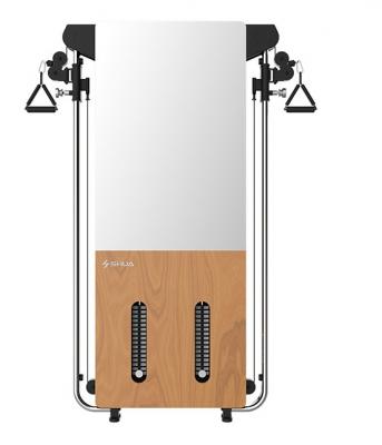Wall mounted trainer настенный тренажер SHUA SH-G699