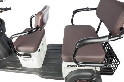 Электротрицикл Rutrike Gelbert Sarin 48V/60V 1000Вт