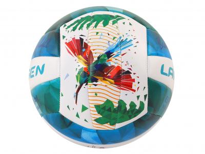 Мяч волейбольный пляжный Larsen Beach Volleyball