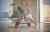 Дек-платформа Reebok-deck RAP-15170RD