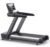 Беговая дорожка профессиональная BRONZE GYM T1000M PRO TFT TURBO (new)