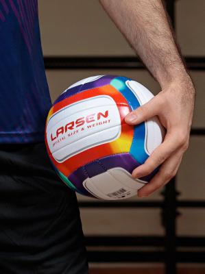 Мяч волейбольный пляжный Larsen Beach Volleyball Rainbow