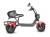 Электротрицикл WHITE SIBERIA TRIKE MINI RED 1500W Шоссейные колёса