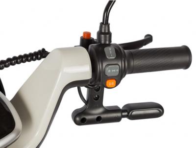 Электротрицикл Rutrike Gelbert Ogma 48V/60V 650Вт