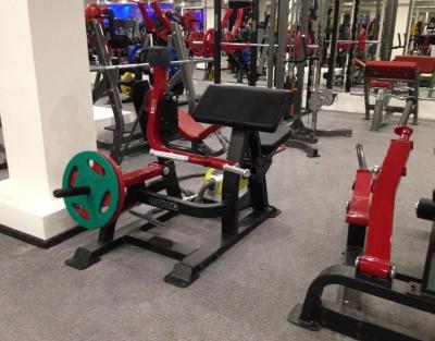 Сильвой тренажер AeroFit Sterling SL7023 Бицепс сидя