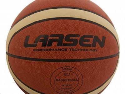 Мяч баскетбольный Larsen PVC-GL7