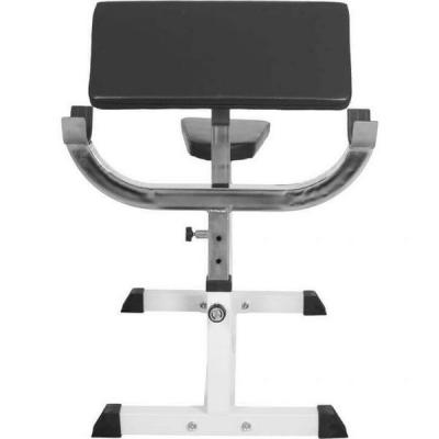 Скамья Скотта DFC Homegym UB009