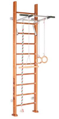 Детский спортивный комплекс (ДСК) Perfetto sport Viva PS-104