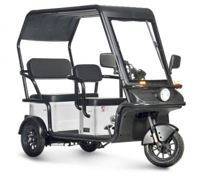 Электротрицикл Wanshida NIPLA 570 60V 1000Вт