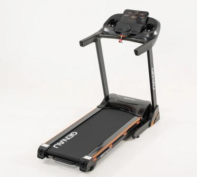 Беговая дорожка Genau Impulse M900