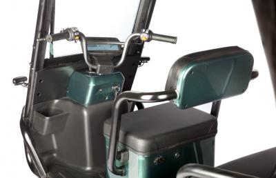 Электротрицикл Wanshida NIPLA 500 60V 1000Вт