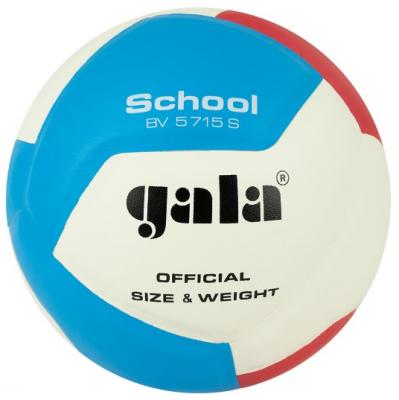 Мяч волейбольный GALA School 12 BV5715S, размер 5
