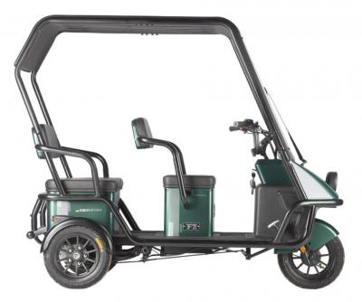 Электротрицикл Wanshida NIPLA 500 60V 1000Вт