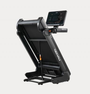 Беговая дорожка GENAU Nordic Z1