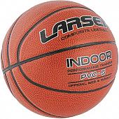 Мяч баскетбольный Larsen PVC-5  (ECE)